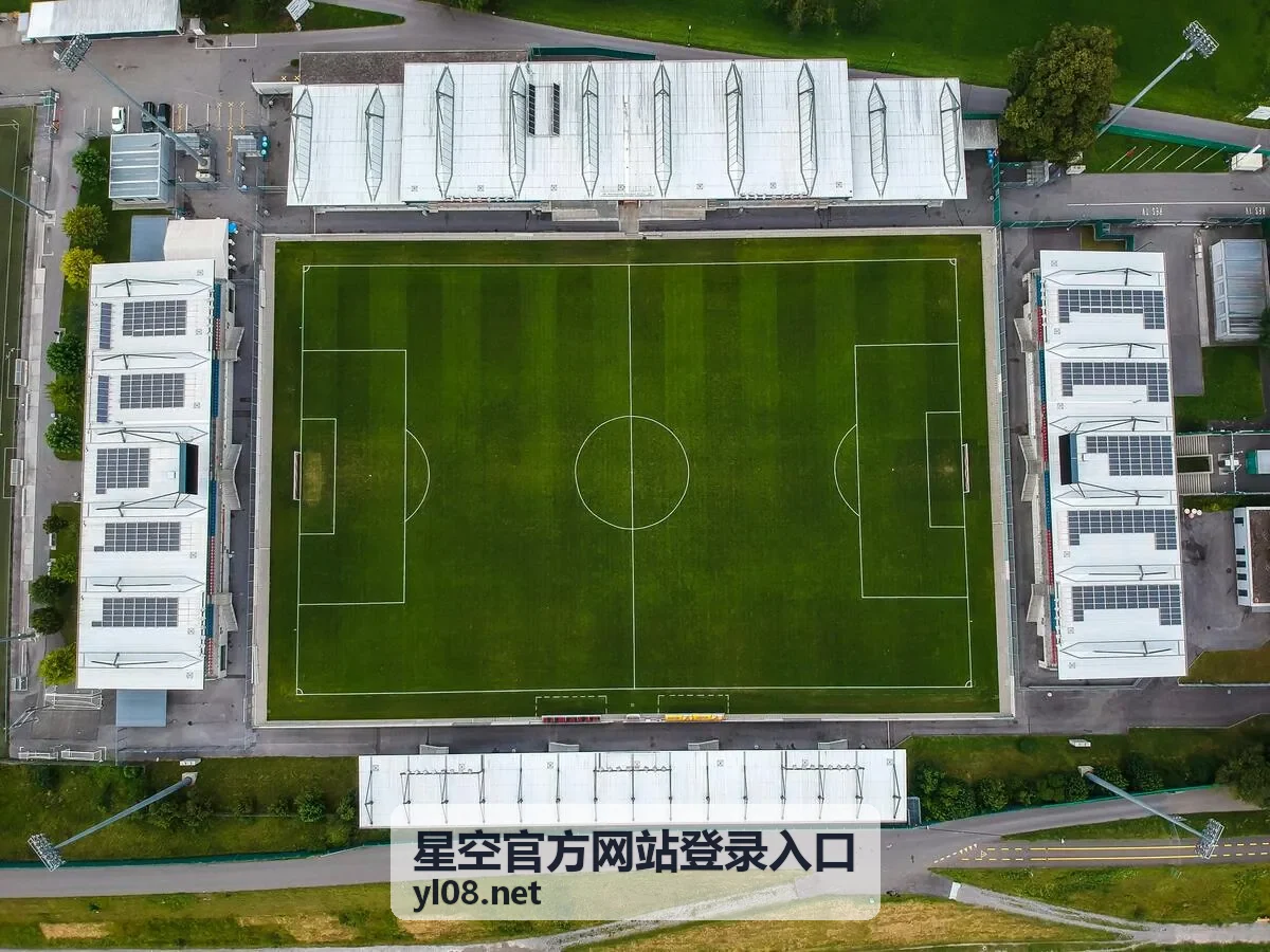 星空官方网站登录入口账号安全与设备建议说明图